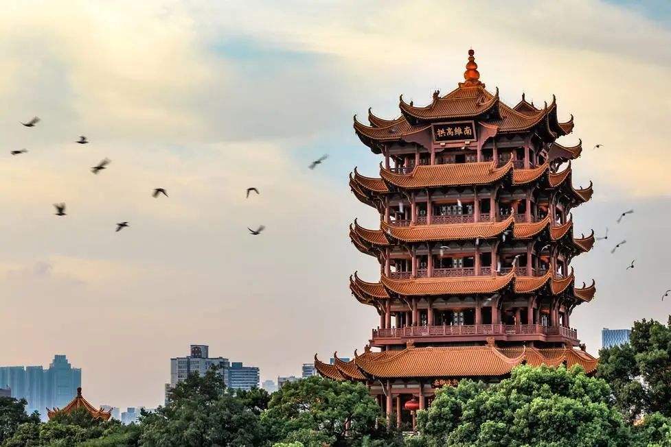 武汉6.jpg